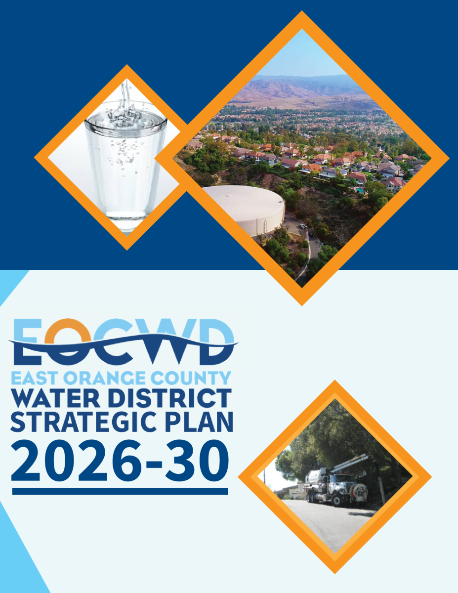 5-Year Strategic Plan 2026