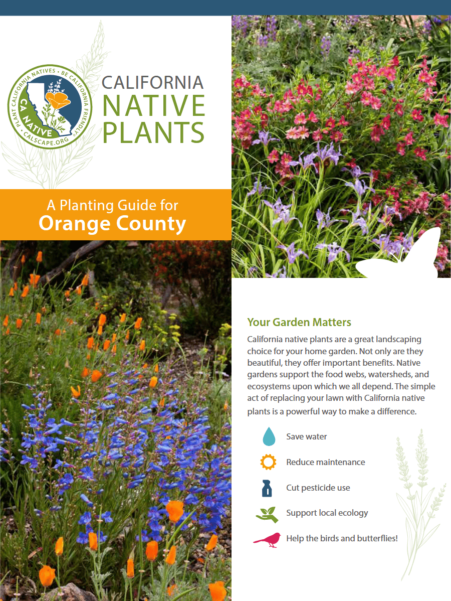 Cover of the California Native Plants guide