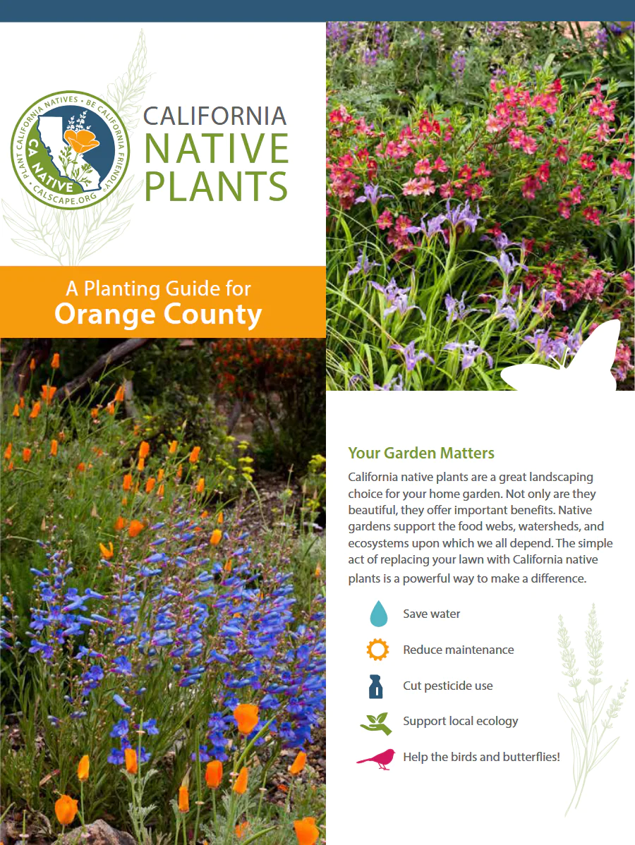 Cover of the California Native Plants guide